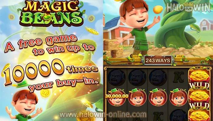 How to Play Magic Beans Slot Game